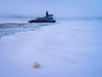 Головной универсальный атомный ледокол «Арктика» достиг Северного полюса