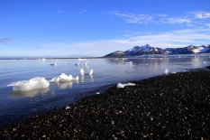 Законопроекты об особом режиме для бизнеса в Арктике прошли второе чтение